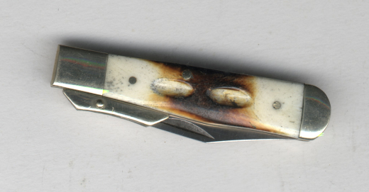 Swingguard Folder mit Knochenschalen