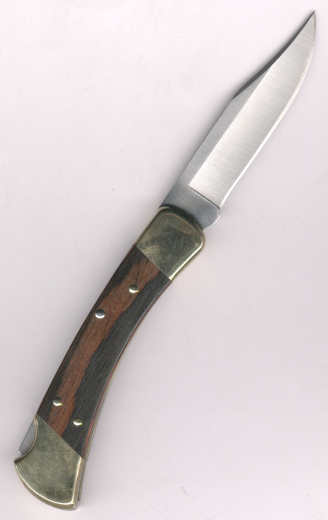 Buck 110 Folding Hunter Klappmesser mit Lederetui