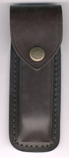 Buck 110 Folding Hunter Klappmesser mit Lederetui
