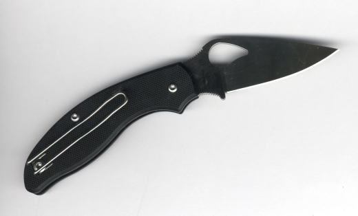 Spyderco Byrd Tern Slipit BY23GP