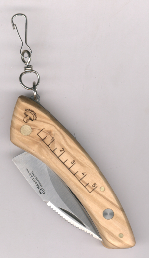 Maserin 74322 Pilzmesser Olivenholz mit Ausklappbürste