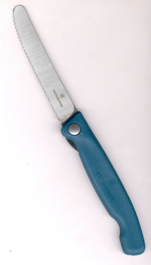 Victorinox Swiss Classic Picnic Knife grün 6.7834.FC1 Reisebrötchentafelklappmesser Welle