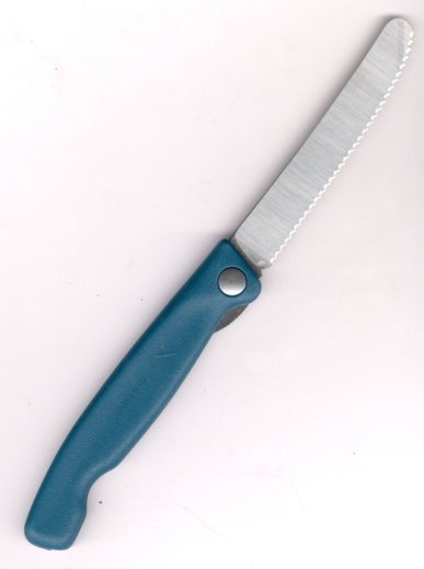 Victorinox Swiss Classic Picnic Knife grün 6.7834.FC1 Reisebrötchentafelklappmesser Welle