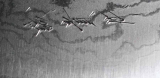Shigeki Usuba Damaststahl Klinge aus 32 Lagen Stahl