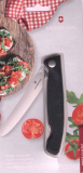 Victorinox Swiss Classic Foldable schwarz 6.7833.FB Reisebrötchentafelklappmesser Welle