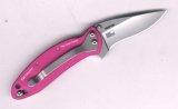 Kershaw Chive 1600 Pink Einhandmesser mit Federunterstützung