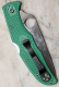 Spyderco Endura Flat Ground Green C10FPGR glatte Klinge