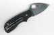 Spyderco C154PBK Squeak black Sliplock