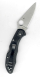 Spyderco C11FPBK Delica schwarz mit Flachschliffklinge
