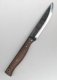 Condor Narrowsaur Knife CTK3971-4.22HC