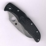 Spyderco Matriarch 2 C12SBK2