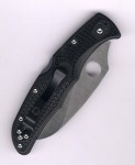 Spyderco Matriarch 2 C12SBK2