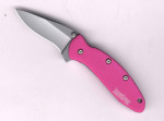 Kershaw Chive 1600 Pink Einhandmesser mit Federuntersttzung