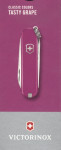 Victorinox Classic SD Colors Tasty Grape 0.6223.52G