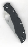 Spyderco Byrd Cara Cara 2 G-10  BY03GP2